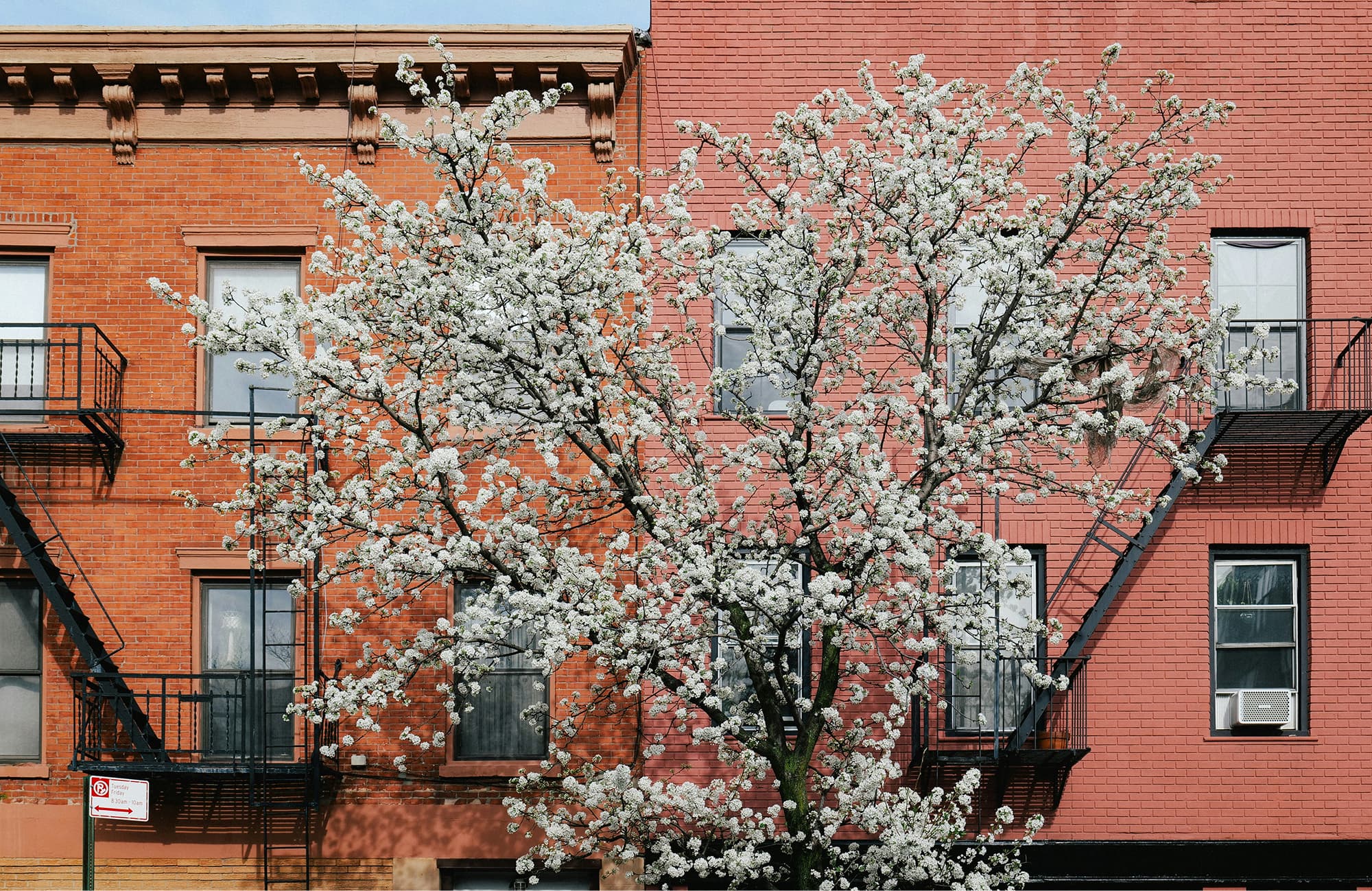 Vista compartida de la ciudad