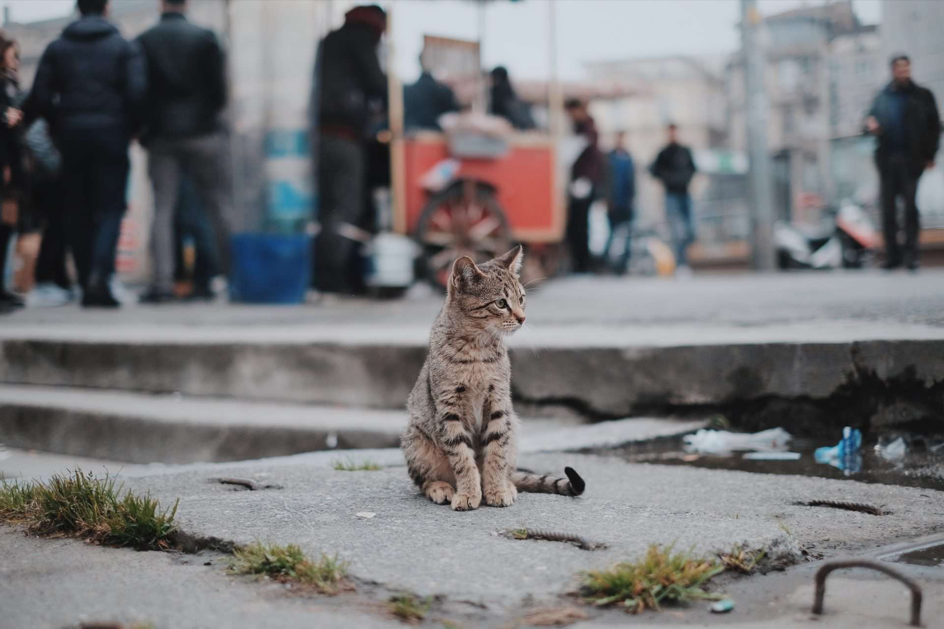 Alone in a Crowd